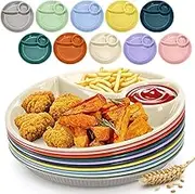 ZAVOOS 10 Pack Chip Dip Serving Platter, 10 Inch Plastic Divided Dumpling Plate with Dipping Saucer, 3 Compartments Reusable Snack Serving Dish for Sushi, Veggies, Party Appetizer