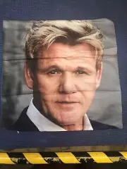 B05- Gordon Ramsay Throw pillow Cover Zippered 17”x17” Hell’s Kitchen