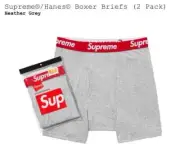 SUPREME HANES BOXER BRIEFS (HEATHER GREY) (LARGE) (2 PACK) SS25 BOX LOGO TEE
