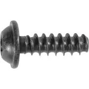 25015 Specialty Thread Forming Screw - M5-1.80 x 16mm (Qty: 25)