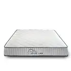 Spine Lab Mattress 5 Zone 21Cm Medium Firm Foam Bonnell Spring Double White Foam