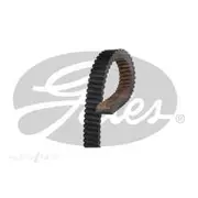 Gates G-Force C12 CVT Belt - 49C4266