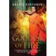 Goddess of Fire: A Remarkable Novel of a Girl Who Became One of the Most Powerful Women in India