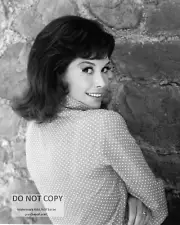 MARY TYLER MOORE - 8X10 PUBLICITY PHOTO (ZY-764)