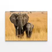 Elephant & Its Calf Standing Print 100% Australian Made 75 x 50cm (Stretched)