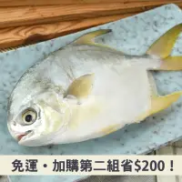 在飛比找台灣好農優惠-(3包組)【飼好漁】豐味海飼黃金鯧500g