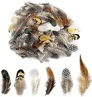 180pcs 6 Style Natural Feathers Assorted Mixed Feathers for Dream Catcher Crafts Decoration (6 Styles/180 Pcs)