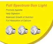 2 -pcs 50W UVA + UVB Full Spectrum Sun Lamp Sunbathe Heat Bulb