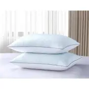 Serta Jumbo Pillow 233-Thread Count Goose Feather Medium Firm in White 2-Pack