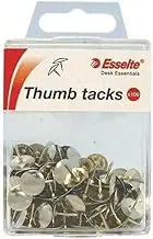 Esselte Metalware Pins Drawing Bx100 Silver