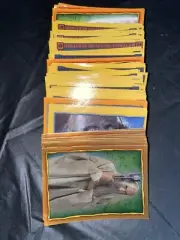 2002 Merlin: Lord of the Rings: The Return of the King Album Stickers (Pick 10)