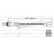 PAT Oxygen/Lambda Sensor Pre-Catalytic Converter/Manifold - EGO-622