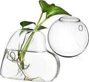 GALPADA 2 Pcs Wall Vase for Flowers High Borosilicate Glass Hanging Terrarium Hydroponics Plants Holder Stylish Decor Durable and Multi Purpose Planters for Aquatic Ecosystems