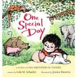 ONE SPECIAL DAY: A STORY FOR BIG BROTHERS & SISTERS