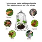 10 Pack Black Garden Chicken Wire Cloche Thick Plant Protector Cover Set