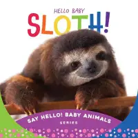 在飛比找博客來優惠-Hello Baby Sloth!