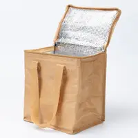 在飛比找蝦皮購物優惠-日本代購 文青 牛皮紙 防水保溫保冷袋 保溫 保冷 午餐袋 