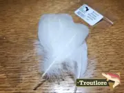 SELECT GOOSE SHOULDER QUILL FEATHERS WHITE HARLINE DUBBIN - NEW FLY TYING