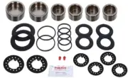 for ASTON MARTIN DB6/S FRONT Brake Caliper Piston +Cushions Rebuild Repair Kit (for: Aston Martin)