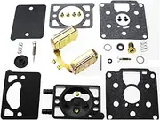 CQYD 142-0570 Carb Carburetor Rebuild Repair Gasket Float Kit Compatible with Onan Engine Model BF BG B43M B48M DD11 DD13 DD15 142-0570 146-0380 K7523 Z750