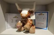 Build A Bear Longhorn Stuffed With Certificate - BRAND NEW - IN HAND