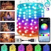 LED USB String Lights App Control Copper Wire Fairy Lights Party Garden Decor