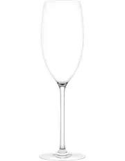 [Plumm] Vintage 2 Piece Sparkling Wine Glass Set in Clear