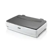 Epson Transparent Document Transparency Unit Scanner