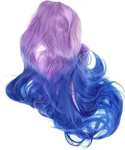 Generic Dyed Wig Wigs for Women Curly Wig for Women Long Wig for Women Hair Wig Women Long Curly Wig Women Wig Wigs Curly Cosplay Party Wig Hair Wavy Wigs Styling Wig High Temperature Wire