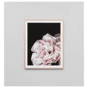 Rose Noir 3 Print