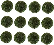 12Pcs Decorative Balls for Planters Adornments for Garden and Home Lightweight Vivid Texture for Micro Landscape Designs