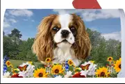 Cavalier King Charles Spaniel Summer Flowers Mail Box Cover