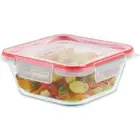 Freshlock Glass Food Storage Container, Airtight & Leakproof Locking Lids, Fr...
