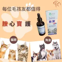 在飛比找蝦皮購物優惠-【現貨速寄/可刷】寵特寶 胺寶AMINO PLUS 60ml