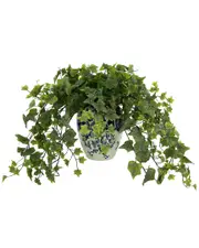 Creative Displays Ivy Plant In A Ceramic Vase