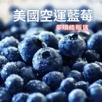在飛比找蝦皮購物優惠-美國空運藍莓 【真食材本舖・RealShop｜水果】