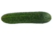 CUCUMBER 'Poinsett 76' seeds *Parthenocarpic* - Packet - 10-15 seeds (Treated Seeds)