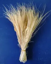50 Pcs BLEACHED PEACOCK SWORDS Natural Feathers10-12" ; Costume/Bridal/Haloween
