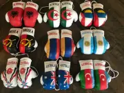 Mini Boxing Gloves ALBANIA, ALGERIA, ANGOLA, ANTIGUA AND BARBUDA, ARGENTINA