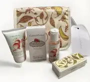 Crabtree & Evelyn 4 Piece GIFT SET POMEGRANATE ARGAN GRAPESEED Hand Lotion Gel