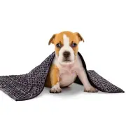 Dog Weighted Blanket, Small Weighted Blanket for Dogs Especially for Thunders...