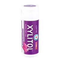 在飛比找金石堂優惠-LOTTE XYLITOL 木糖醇無糖口香糖-藍莓薄荷(迷你