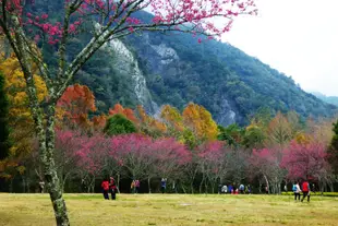 南投|奧萬大國家森林遊樂區門票|平假日均可使用|免費停車