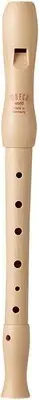 MOECK world Wooden soprano recorder German style S-02