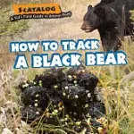 HOW TO TRACK A BLACK BEAR