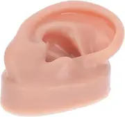 Mikinona Human Ear Model Ear Piercing Training Tool Teaching Aid Display Prop Easy to Carry