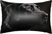 Satin Pillowcase for Hair and Skin Silk Pillow Cases Queen Size Satin Pillow Cover 20x30 Inches Black Labrador Pillowcases with Zipper Cooling Pillow Cases Gifts for Women Men