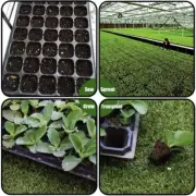 Seedling Tray - 72 cavities - PACK 10