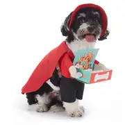 Funny Pizza Man Dog Costume