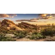 Reptile Terrarium Background 48x24" Blue Sky Cactus Desert Polyester Durable